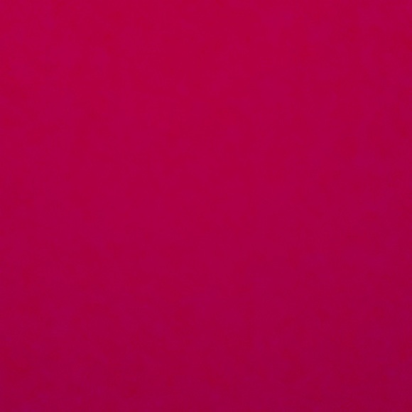 Meet your Posher, Avery - Picture 2 of 2